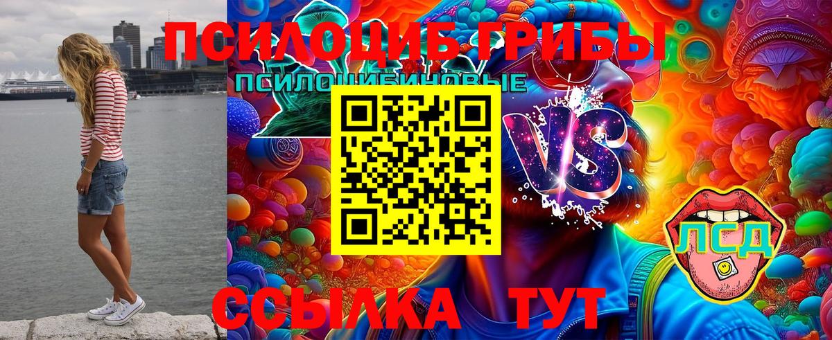 Псилоцибиновые грибы Magic Shrooms  Вход с VPN  даркнет сайт  Шали 