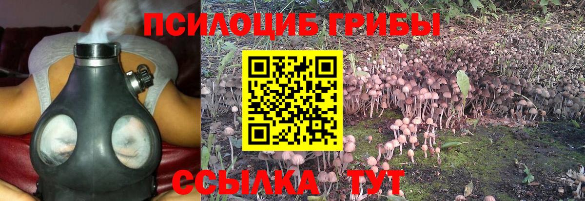 КОКАИН  ЭКСТАЗИ  Вход с VPN  Меф  КЕТАМИН  МЕФ   Марихуана  Шали  ГАШ  МЕТАМФЕТАМИН 
